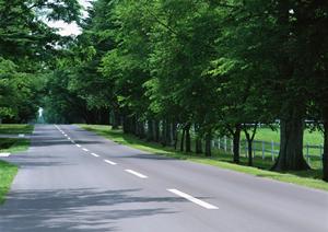 株式会社日産サティオ高知|ちより街テラス店の最新情報と魅力を徹底解説