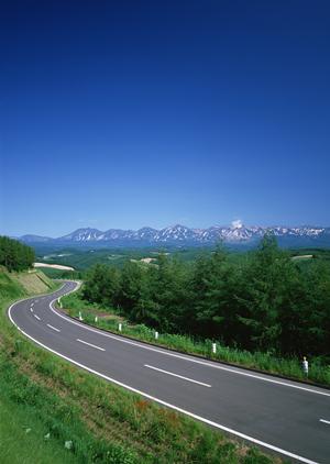 ハイラックスサーフの専門店の魅力