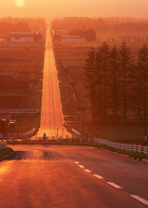 最安価格に妥協がない車検チェーン