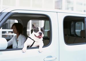 テトラポッド運搬は山善運輸機工です