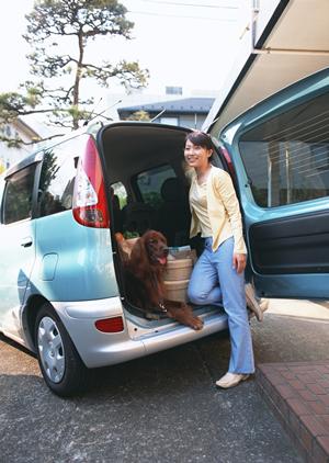 車検大手を徹底比較!2026年最新版で選ぶ最適な自動車整備サービス